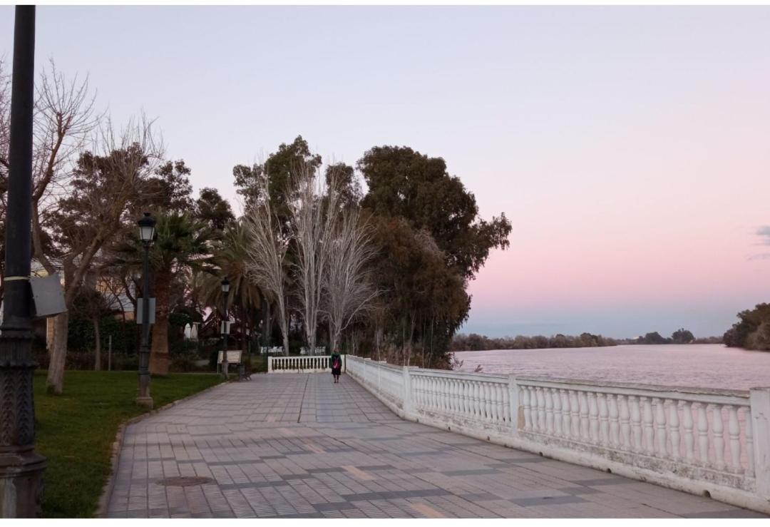 Habitacion Amplia Y Luminosa Coria del Río Dış mekan fotoğraf